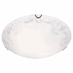 CF493