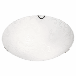 CF494