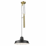 PEN872 BRASS/BLACK