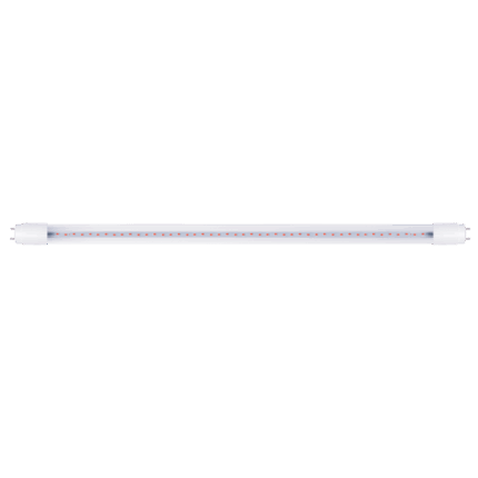BULB LED 205