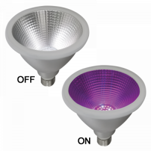 BULB LED 207