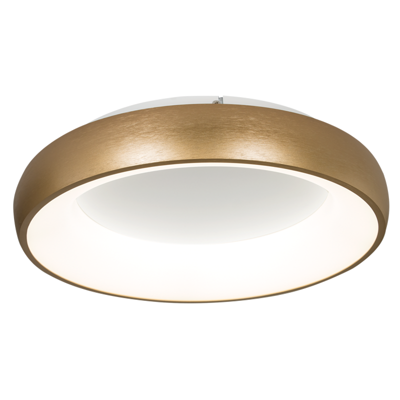CF276 GOLD